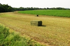 Hunt's Forage Farm