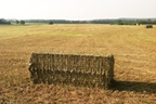 Hunt's Forage Farm