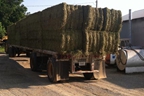 Hunt's Forage Farm