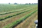 Hunt's Forage Farm