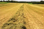 Hunt's Forage Farm