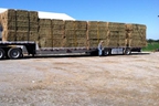 Hunt's Forage Farm